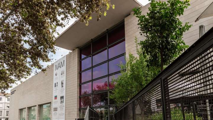 De las mujeres artistas a la Albufera: trece propuestas para aupar la nueva etapa del IVAM