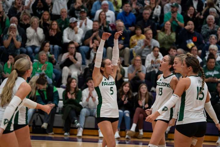 Frankenmuth freshmen shine, with updated Saginaw-area volleyball district brackets