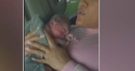 Indiana woman gives birth in car after hospital discharge, family hires lawyer