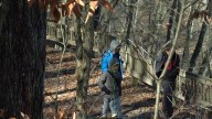 Nature lovers experience McCormick's Creek State Park for free on Black Friday