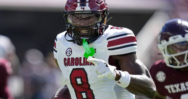 Texas state trooper has run-in with South Carolina's Nyck Harbor after touchdown