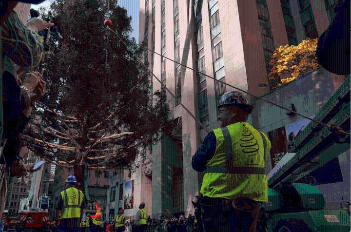 Llega al Rockefeller Center el árbol de Navidad 2025