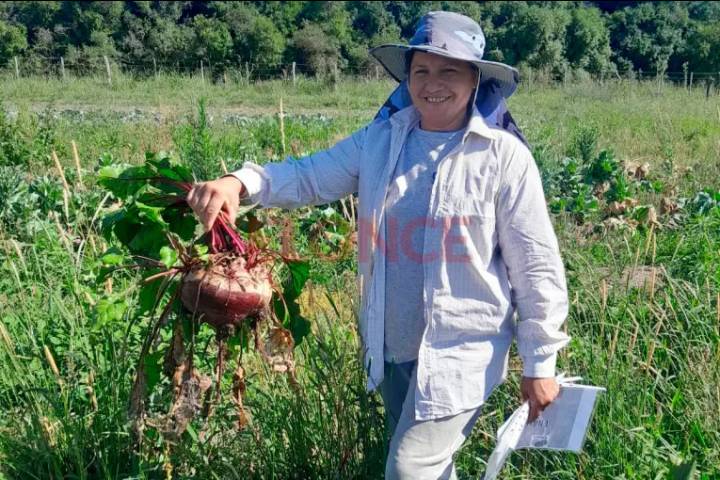 Horticultores entrerrianos cosecharon remolachas gigantes y asombraron a todos