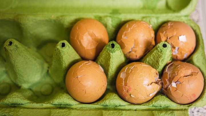 5 Signs That Your Carton Of Eggs Have Gone Bad