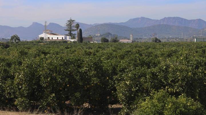 Primera reacción al precio ofertado en Sagunt por el suelo de la fotovoltaica de VW