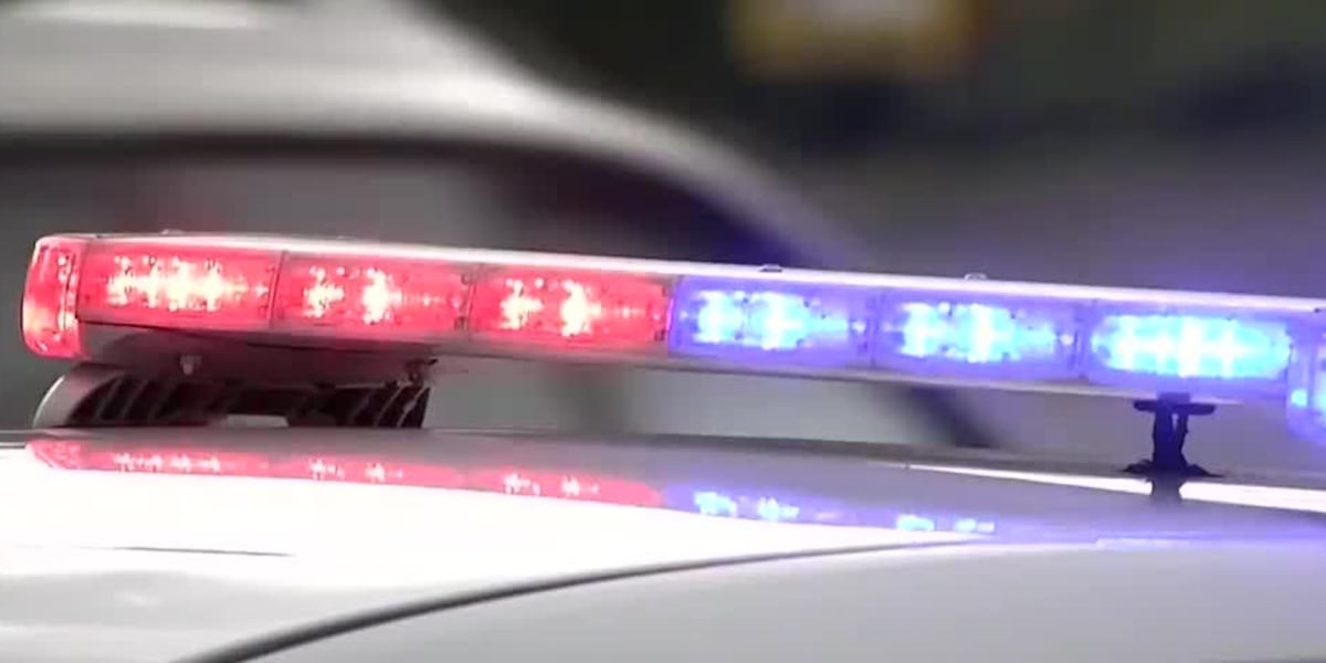 Iowa City Animal Services investigates dog bite incident