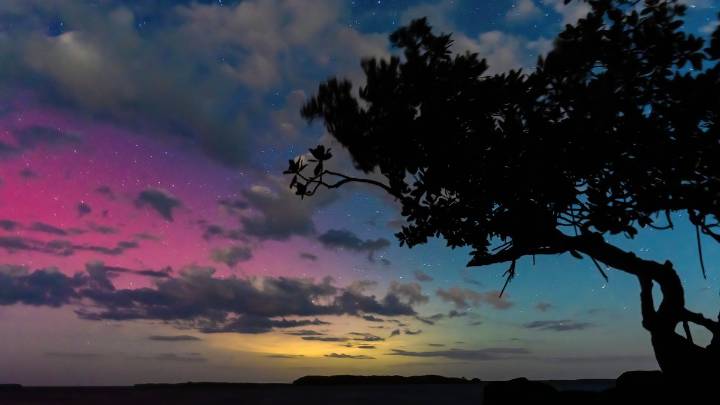 Northern Lights captivates viewers in Florida: See the dazzling images