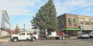 Donated Christmas tree makes journey to Grand Island’s Railside district