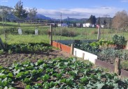 Colindres forma en agricultura ecológica a los usuarios de los huertos municipales