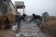 Farmers in India's Punjab recycle crop waste, aim to reduce pollution