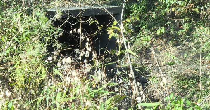 How rescuers found boy lost in Columbia stormwater system