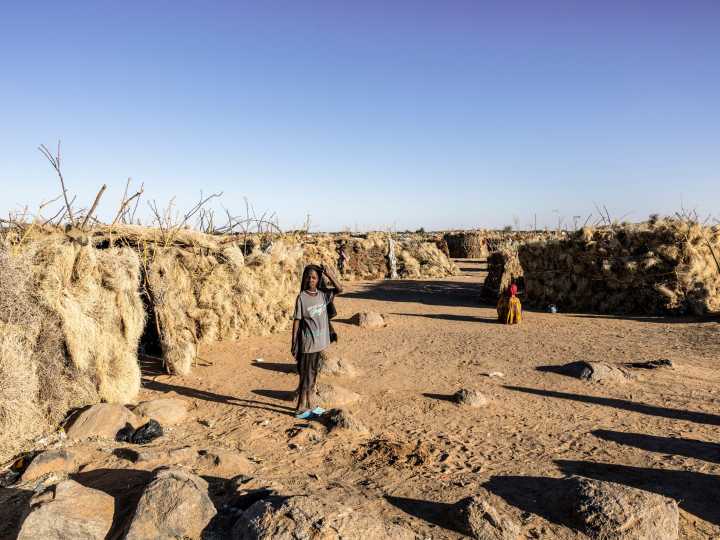 Sudan’s army captures two areas in North Kordofan as RSF burns more bodies
