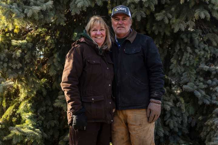 Hello, Bay City: Meet the family behind the last decade of downtown Christmas trees
