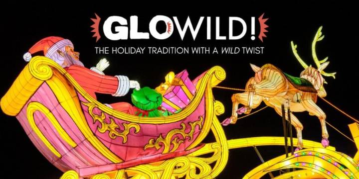 GloWILD is returning to Little Rock Zoo