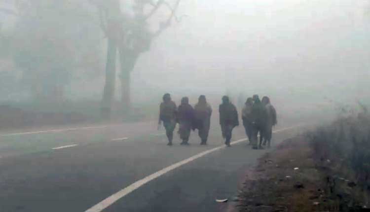 Chilly Weather Ahead: Odisha Temperatures To Fall Gradually