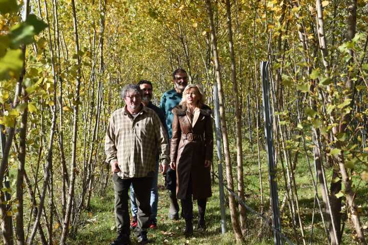 La Junta impulsa un proyecto para recuperar los olmos en los pueblos de Cuenca