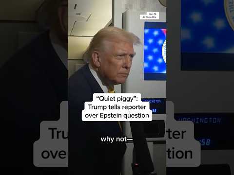 'Quiet piggy': Trump tells reporter over Epstein question