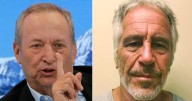 ‘Deeply ashamed’: Larry Summers steps back from public roles over Epstein emails