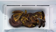 Local Family Buys Second Freezer To Hold All The Mushy Bananas They're Saving For Banana Bread