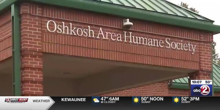 City of Oshkosh proposes funding cuts to Oshkosh Area Humane Society