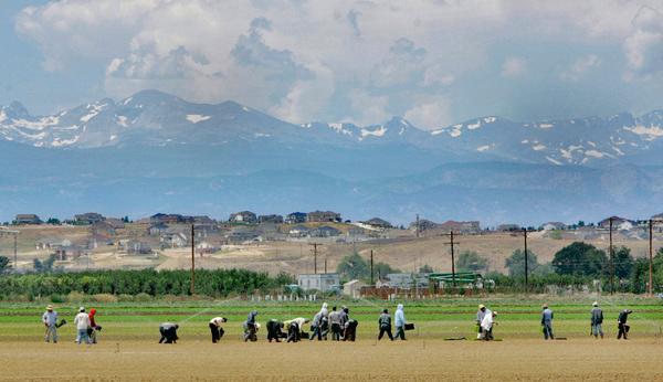 A reversal in international migration could spell trouble for Colorado economy