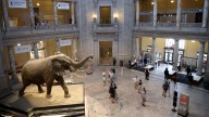 'Thrilled to be open': Smithsonian and other museums welcome visitors back
