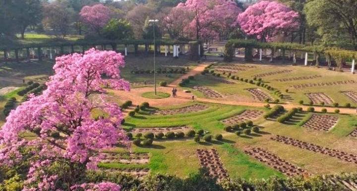 La semana arranca soleada y con calor, pero el tiempo volvería a ponerse inestable el miércoles