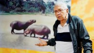Colombian artist shares photos of Pablo Escobars hippos