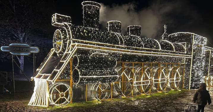 'I took my son on Windsor's Christmas light trail but there was a problem'