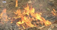 Outdoor burning guidelines across the TN Valley