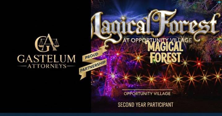 Gastelum Attorneys Light Up Magical Forest for 2nd Year!