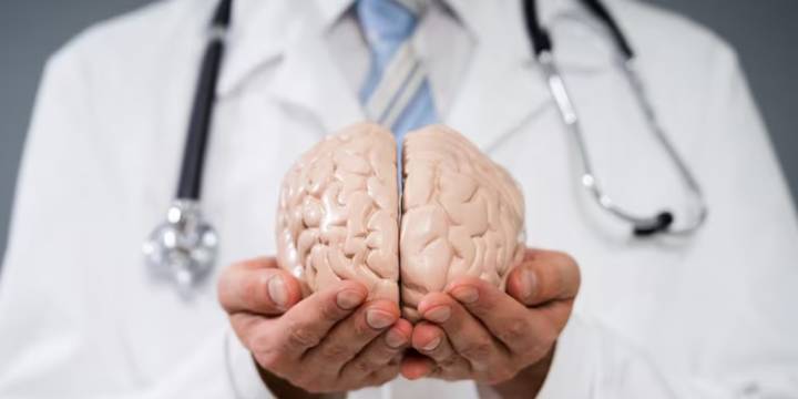 Cómo el cerebro puede adaptarse ante la incertidumbre y aprender, según un estudio