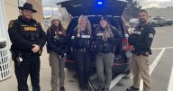 A holiday helping hand: 'Stuff the Cruiser' gathers gift donations
