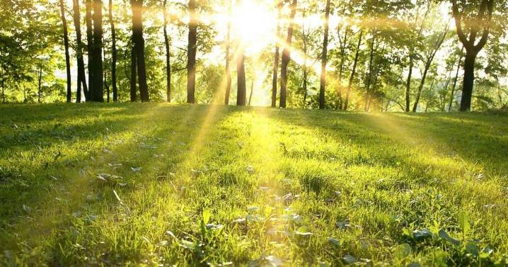 Southern Zone firearm season gets underway Saturday