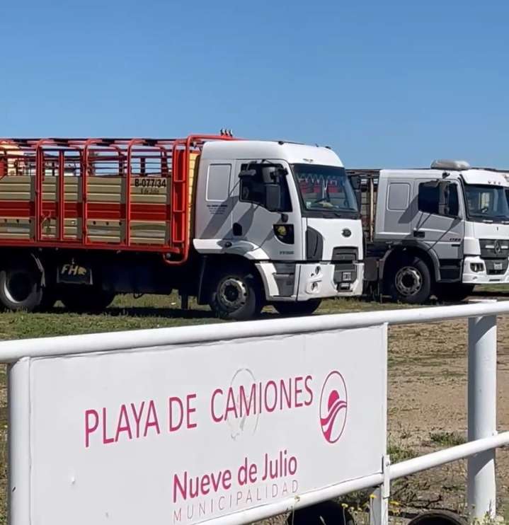 Nueva Playa de Camiones: aumento de la matrícula