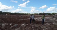 YUCATÁN | Empresa avícola destruye vestigios mayas en Kinchil pese a sellos del INAH