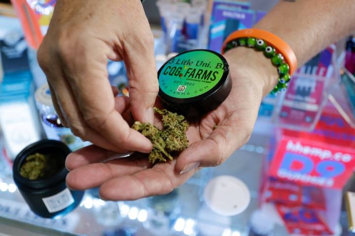 What does the federal hemp ban mean for Florida?