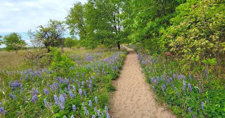 Safety Check: What to do if lost while hiking