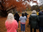 Photo Gallery: Tree identifcation walk at Woodlawn Cemetery and Arboretum