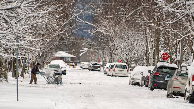 Northern Ontario residents under winter storm watch urged to brace for heavy, blowing snow