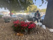 Prepara Monterrey festival navideño con actividades para todos