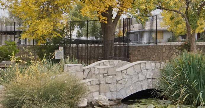 Fall color in Roswell