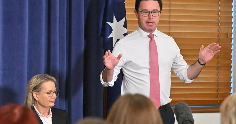 Nationals ditch net zero as Liberals ponder policy