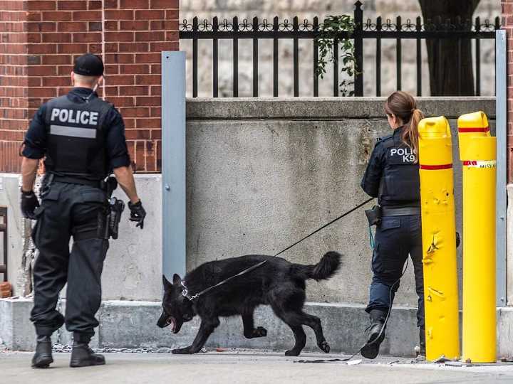 Man who pleaded guilty to conspiracy to kill gang members was attacked by co