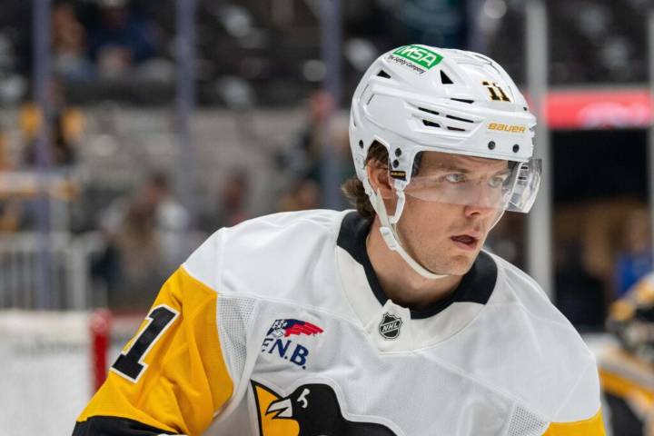 Penguins’ Filip Hallander Diagnosed With Blood Clot