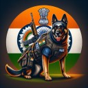 From Wolves to Pugs: Tracing 11,000 Years of Canine Diversity