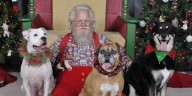 VHS’s annual ‘Pet Pictures with Santa’ event returns to Evansville this weekend