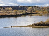 GRCA board members voice concern over proposed changes to conservation authorities