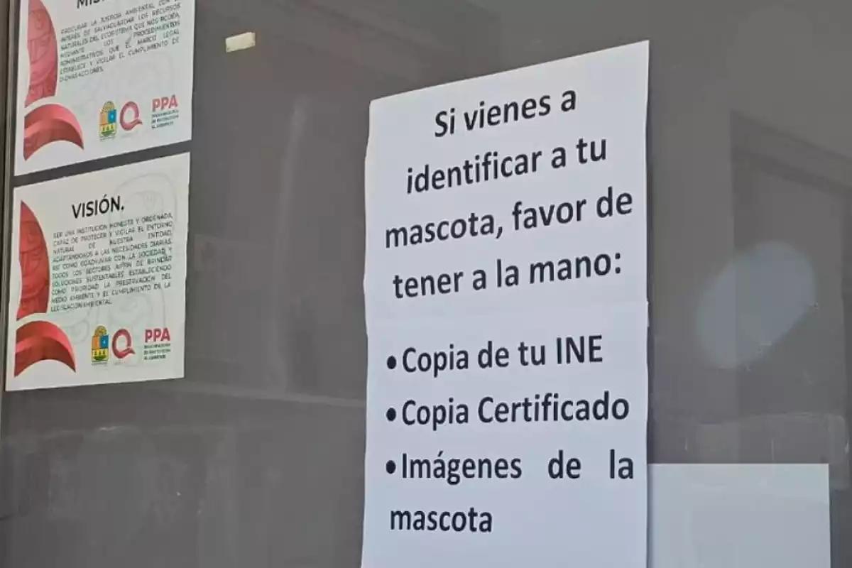 Elabora catálogo con más de 700 fotos para agilizar denuncias de los más de las más de 600 personas afectadas por el fraude del crematorio de animales Xibalbá