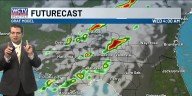 Fog tomorrow, followed by some showers ahead of Thanksgiving